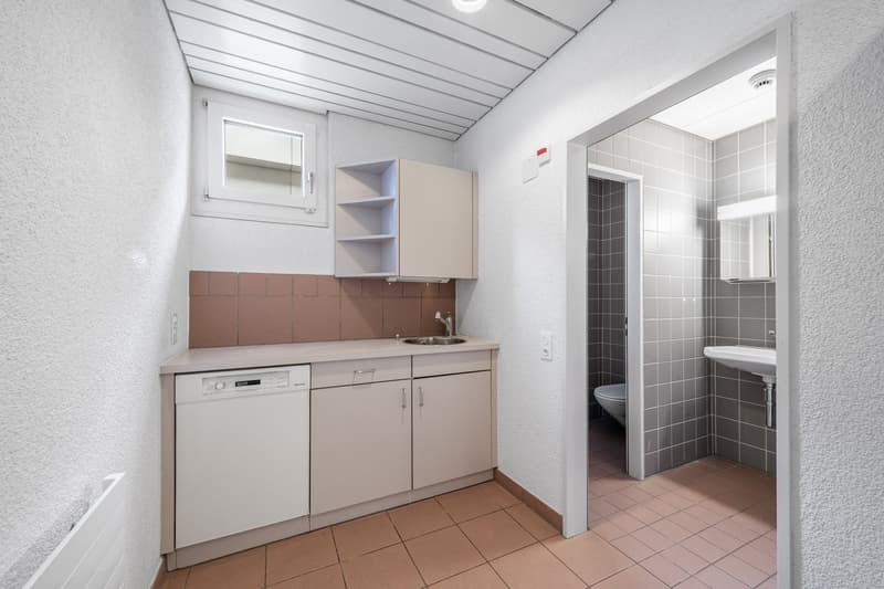 small kitchen with sink, dishwasher, and cabinets, small bathroom with toilet and sink