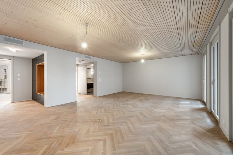 empty room, wooden parquet floor, white walls, wooden ceiling, large windows, closet
