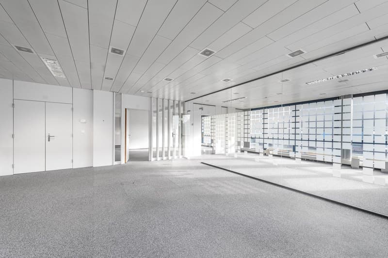 Ihr perfekter Arbeitsplatz im Kreis 3 (befristet bis 31.03.2027) (5)