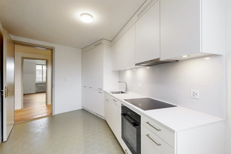 Exklusive Attikawohnung mit grosszügiger Dachterrasse im Herzen von Zürich (3)
