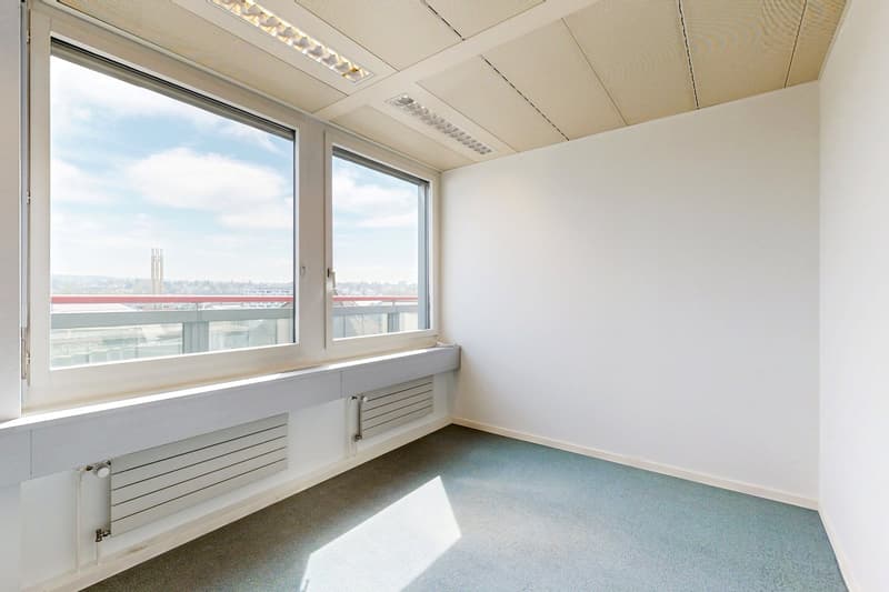 Spacious office room with large windows offering a view of the city skyline, white walls, suspended ceiling with lighting fixtures, and a carpeted floor.