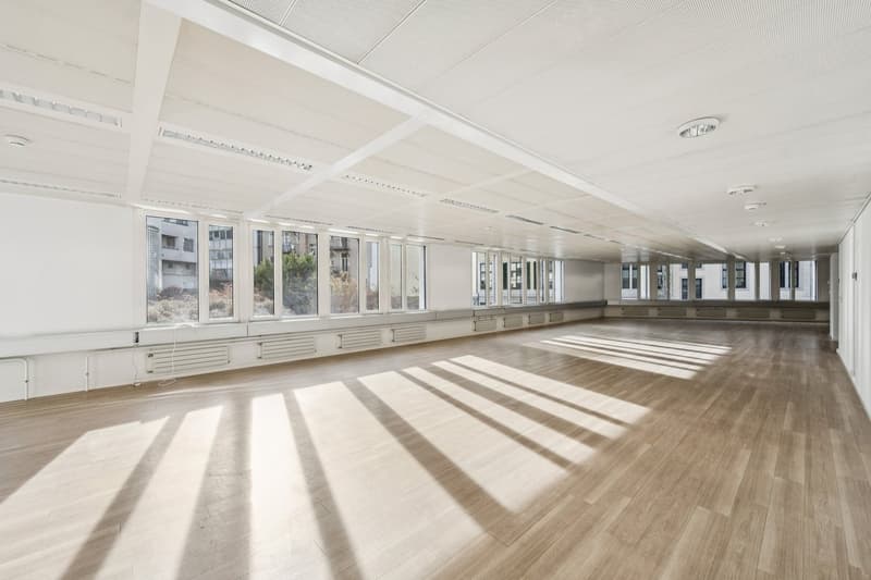 empty room, high ceiling, large windows, wooden floor, bright