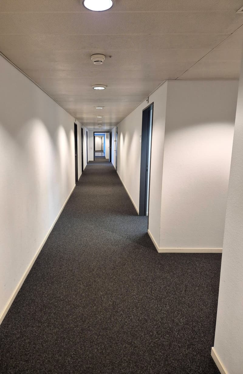 Empty hallway with white walls, gray carpet, and ceiling lights