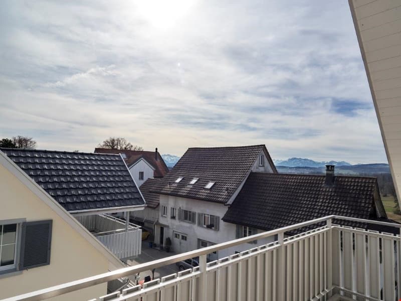3.5 Zimmerwohnung mit 120 m2 Balkon Richtung Süden (8)