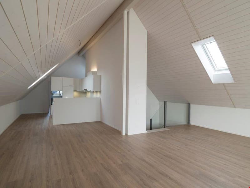 3.5 Zimmerwohnung mit 120 m2 Balkon Richtung Süden (7)