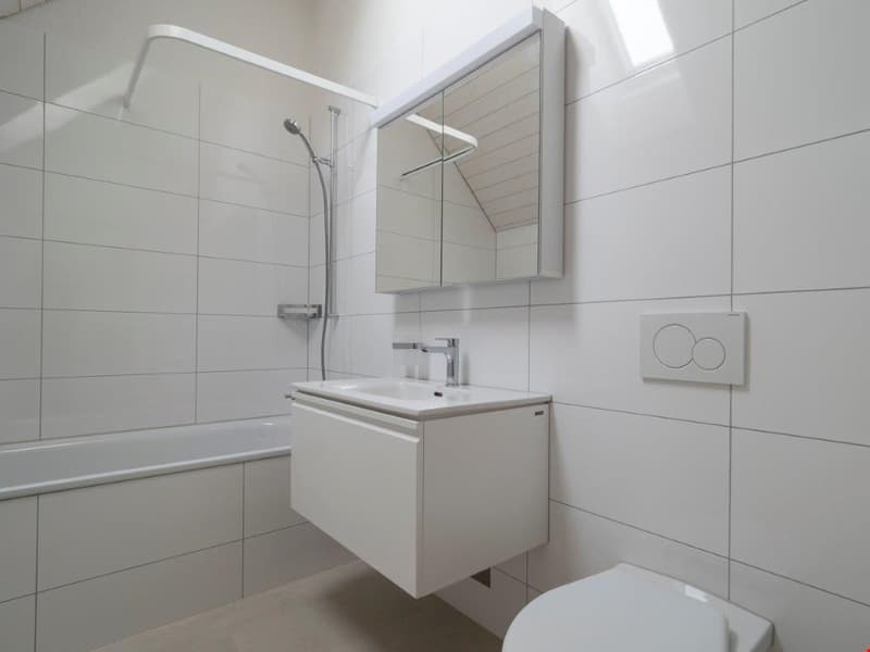 3.5 Zimmerwohnung mit 120 m2 Balkon Richtung Süden (12)