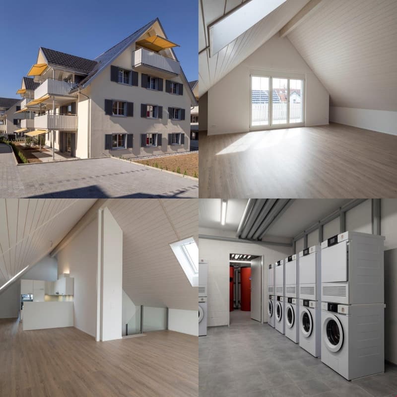3.5 Zimmerwohnung mit 120 m2 Balkon Richtung Süden (1)