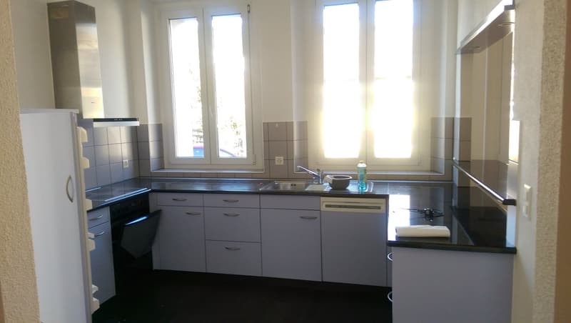 Magnifique loft lumineux, recentement rénové! (4)