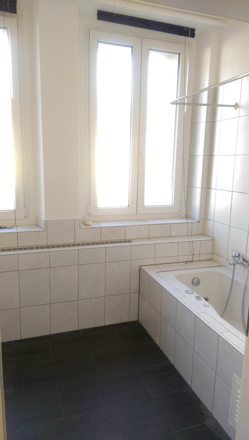 Magnifique loft lumineux, recentement rénové! (5)