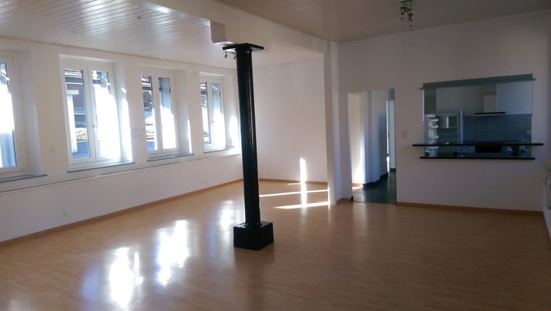 Magnifique loft lumineux, recentement rénové! (3)