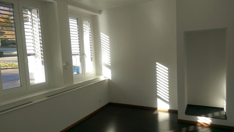Magnifique loft lumineux, recentement rénové! (6)