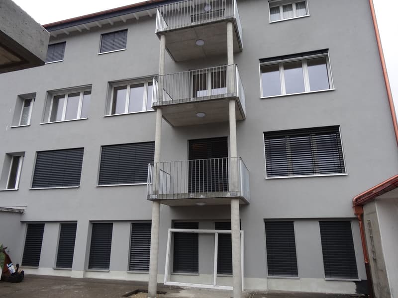 Magnifique loft lumineux, recentement rénové! (9)