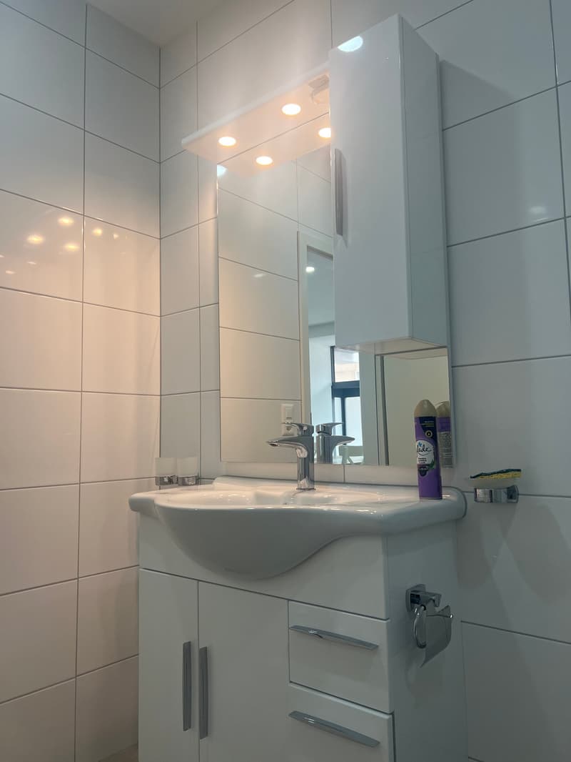 Loft/Bureau rénové au centre ville de Tramelan (5)