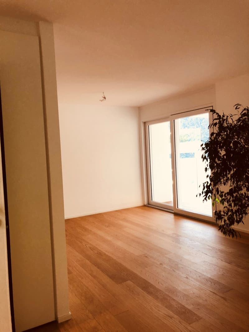 Appartamento moderno di 3.5 locali con vista panoramica a Bellinzona (11)