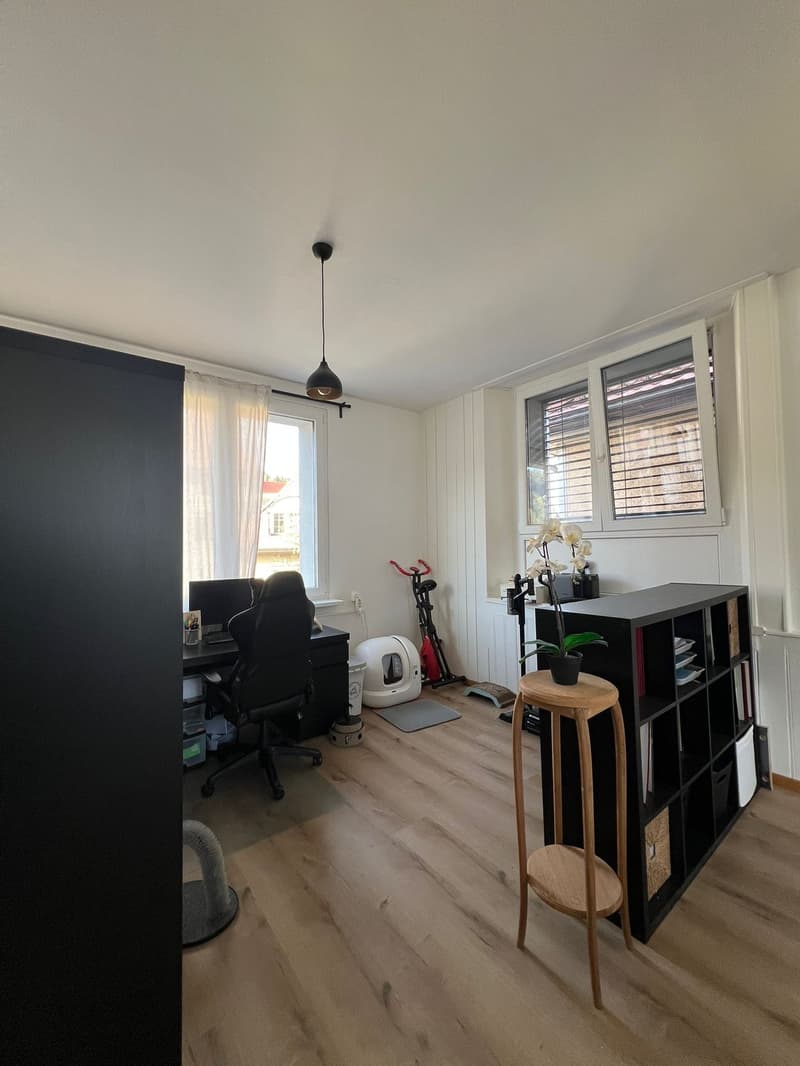 Joli Loft  rénové à Tramelan – Chemin des Sources 1 (4)