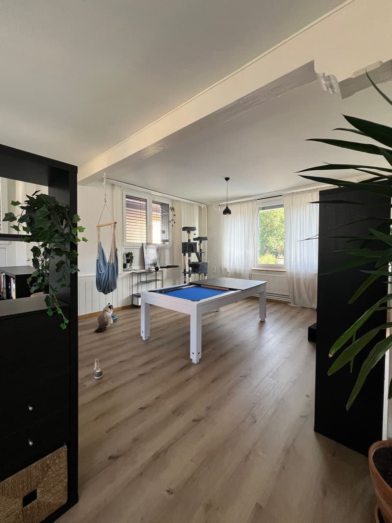 Joli Loft  rénové à Tramelan – Chemin des Sources 1 (9)