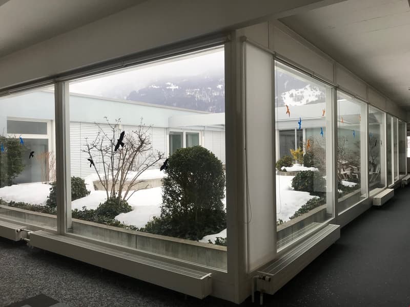 Blick ins Atrium Richtung Norden
