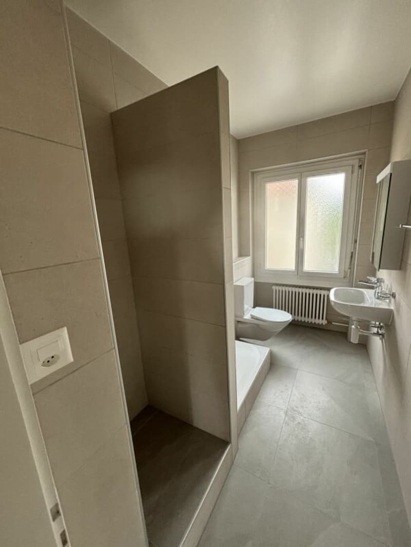 Appartement de 3 pièces dernièrement rénové avec balcon (7)