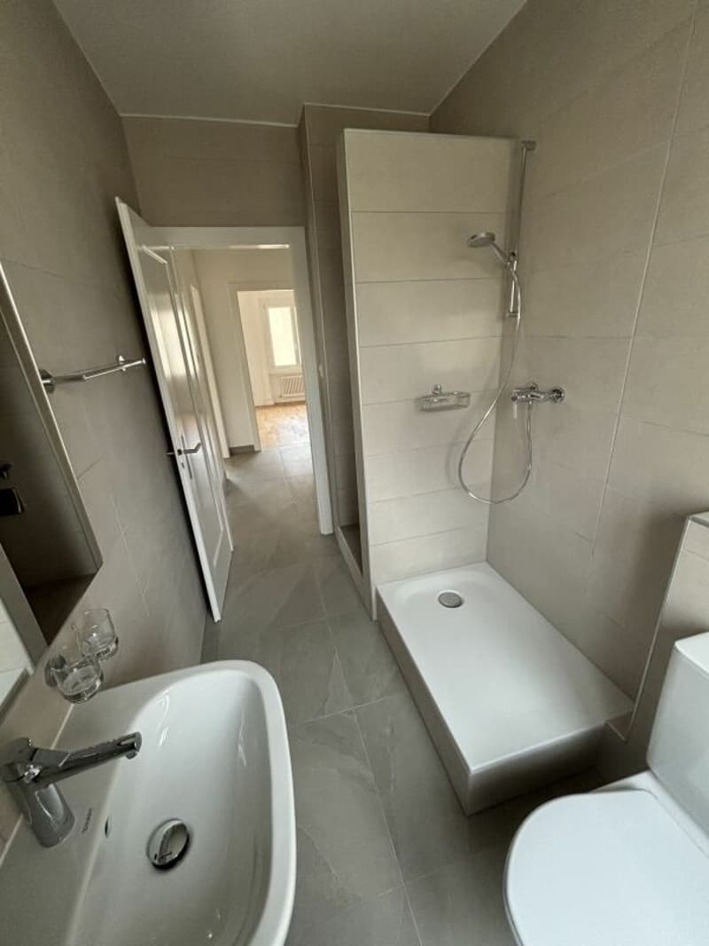 Appartement de 3 pièces dernièrement rénové avec balcon (6)
