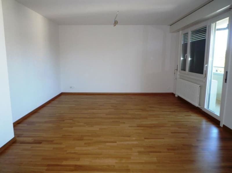 Bel appartement de 4 pièces dans quartier calme proche du lac ! (3)