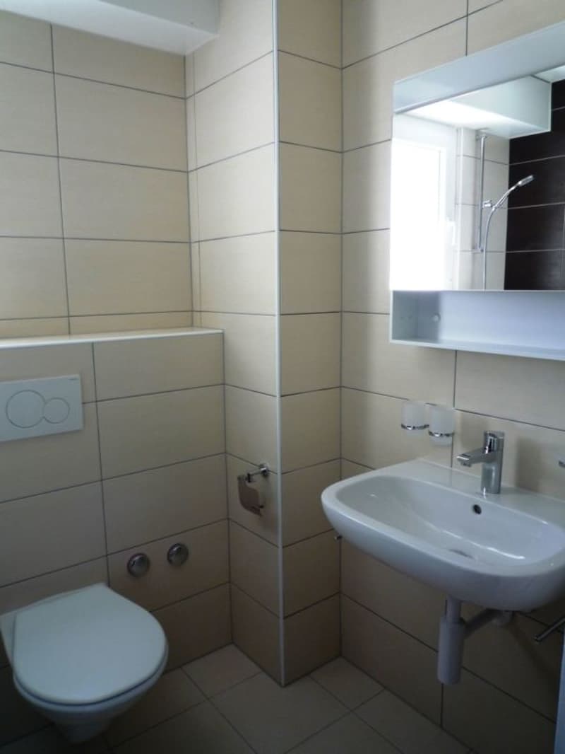 Bel appartement de 4 pièces dans quartier calme proche du lac ! (5)