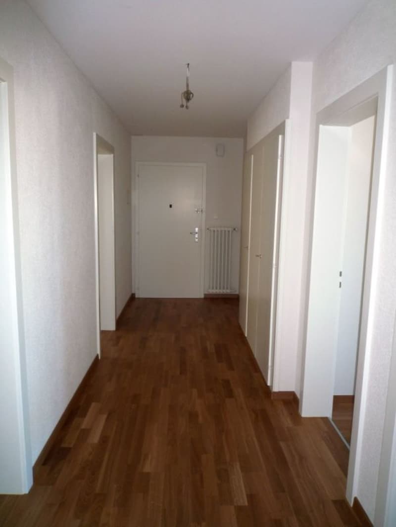 Bel appartement de 4 pièces dans quartier calme proche du lac ! (7)
