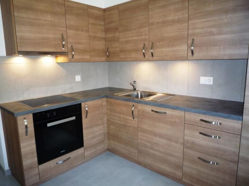 Bel appartement de 4 pièces dans quartier calme proche du lac ! (1)