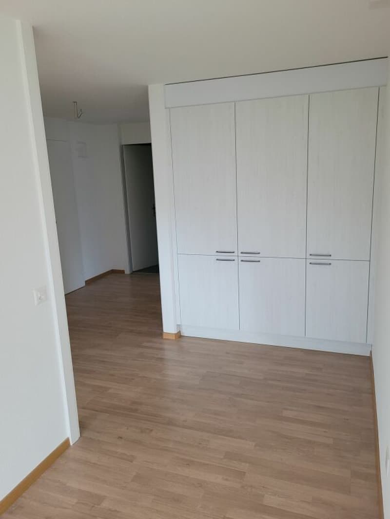 Appartement dernièrement rénové ! (5)