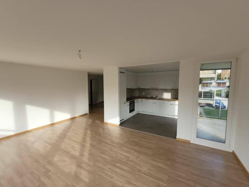 Appartement dernièrement rénové ! (3)