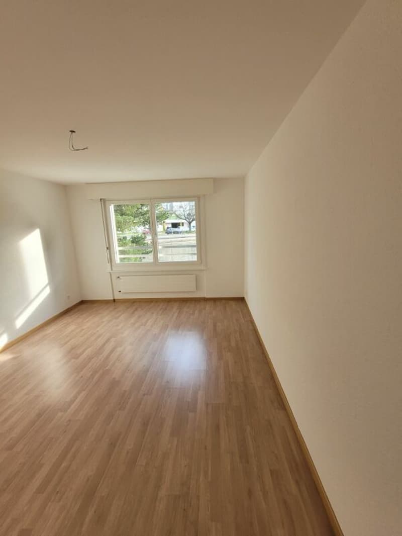 Appartement dernièrement rénové ! (4)