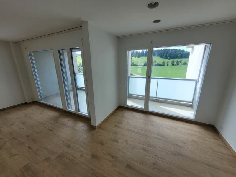 Appartement familial de 4.5 pièces rénové (3)