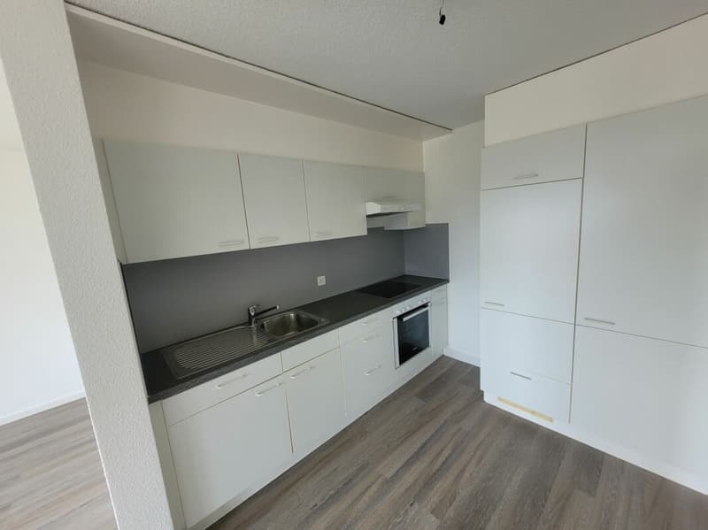 Appartement de 2.5 pièces dans quartier calme (3)
