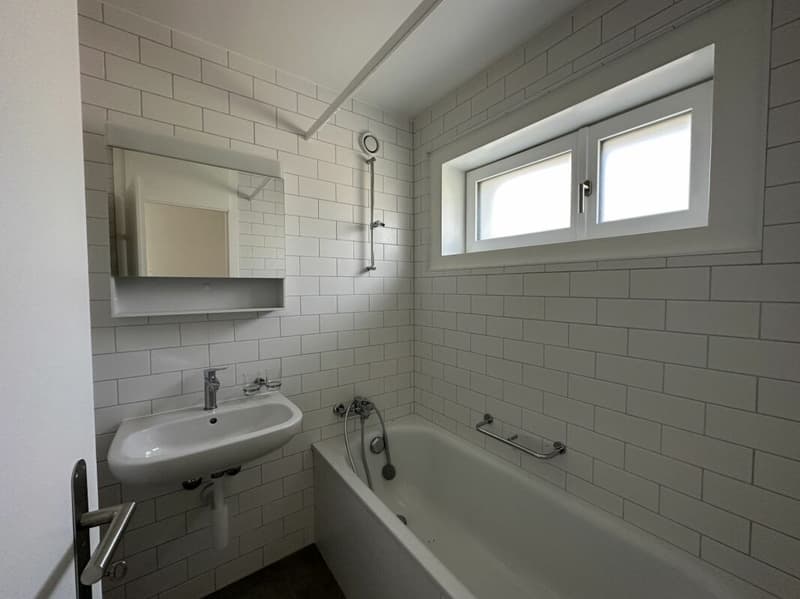 Bel appartement de 3.5 pièces entièrement rénové ! (7)
