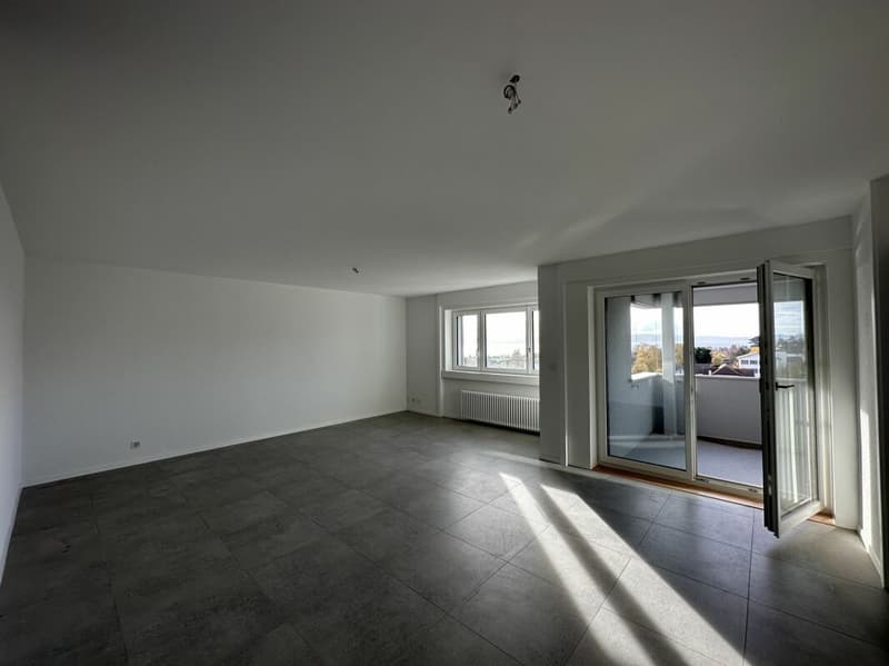 Bel appartement de 3.5 pièces entièrement rénové ! (4)