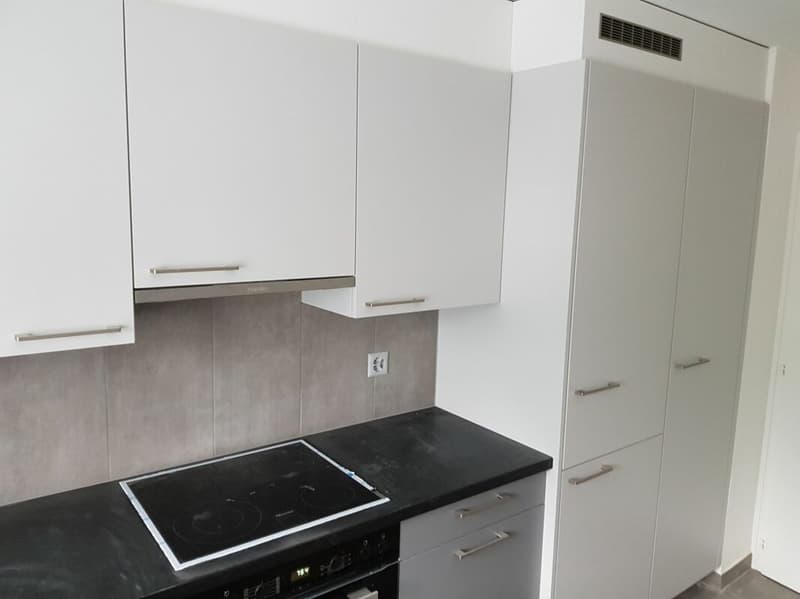 Bel appartement de 4 pièces entièrement rénové en 2018 dans quartier calme ! (2)