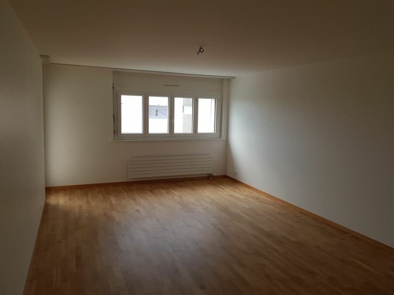 Bel appartement de 4 pièces entièrement rénové en 2018 dans quartier calme ! (3)