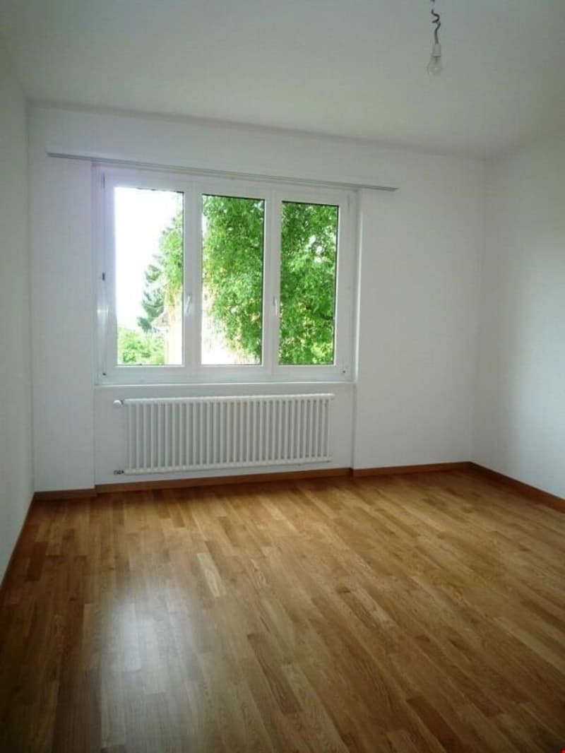 Bel appartement de 3 pièces avec balcon ! (3)