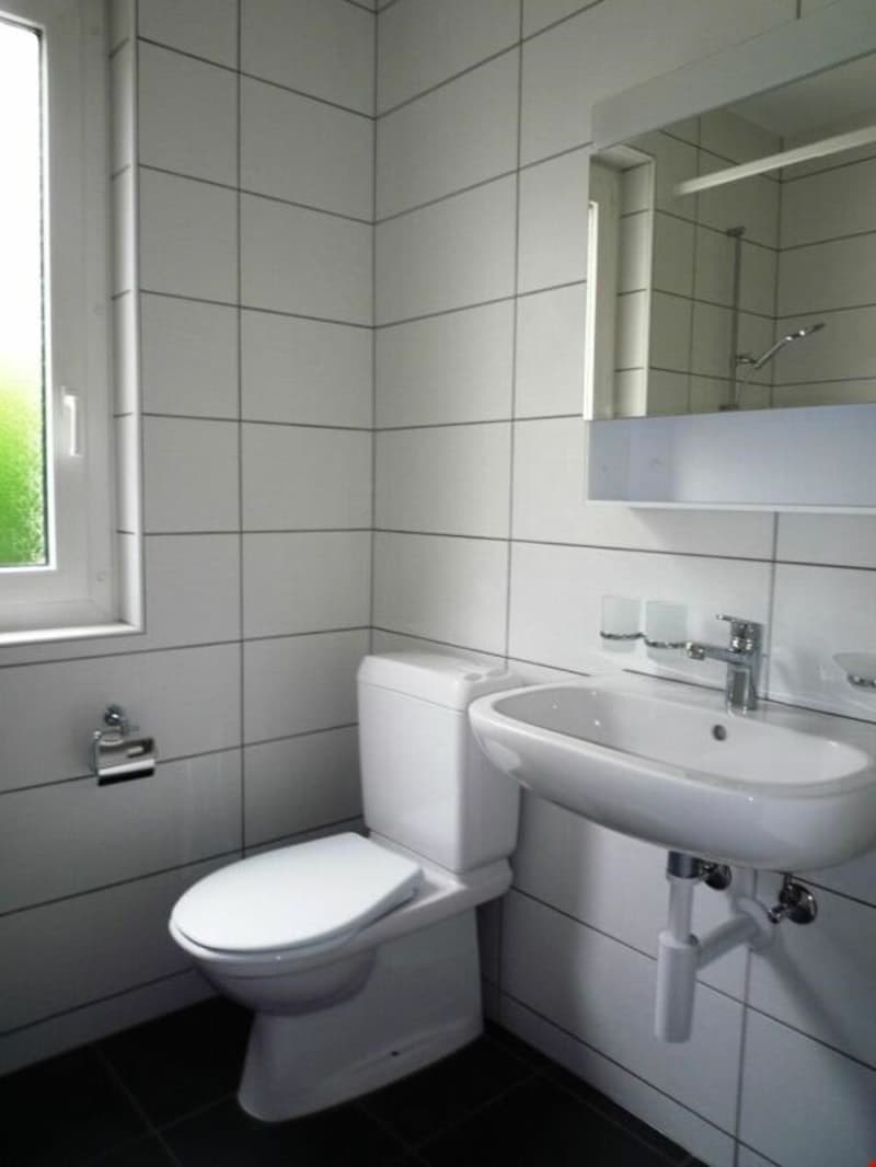 Bel appartement de 3 pièces avec balcon ! (8)