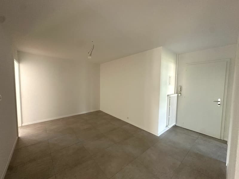 Bel appartement de 3.5 pièces entièrement rénové proche de toutes commodités ! (3)