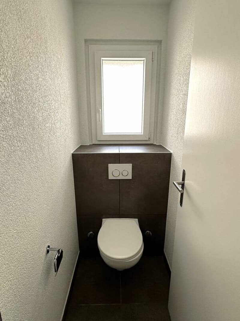 Bel appartement de 4.5 pièces entièrement rénové dans quartier calme ! (9)