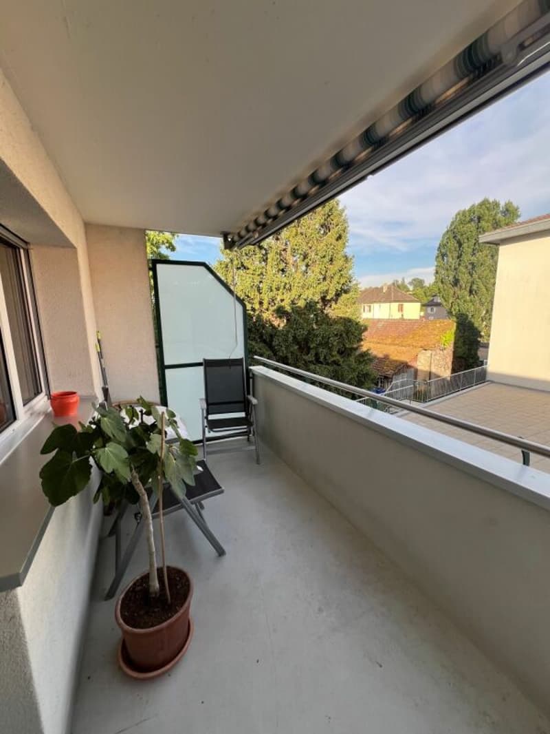 Bel appartement de 3.5 pièces rénové proche de toutes commodités ! (8)