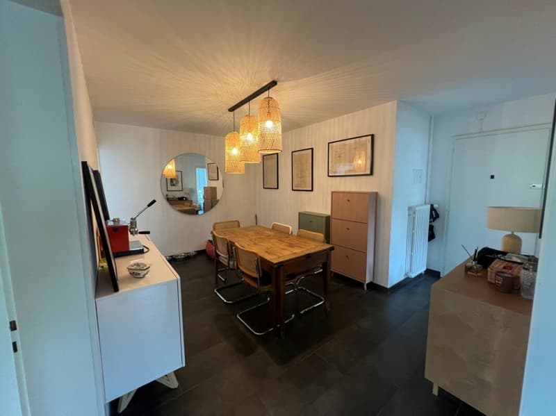 Bel appartement de 3.5 pièces rénové proche de toutes commodités ! (4)