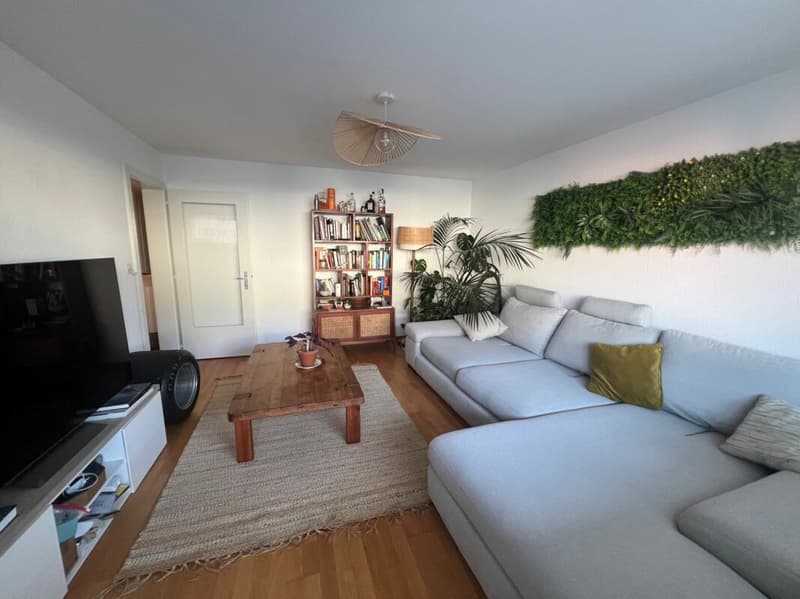 Bel appartement de 3.5 pièces rénové proche de toutes commodités ! (3)