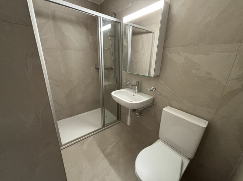 Appartement rénové de 3 pièces avec balcon ! (6)