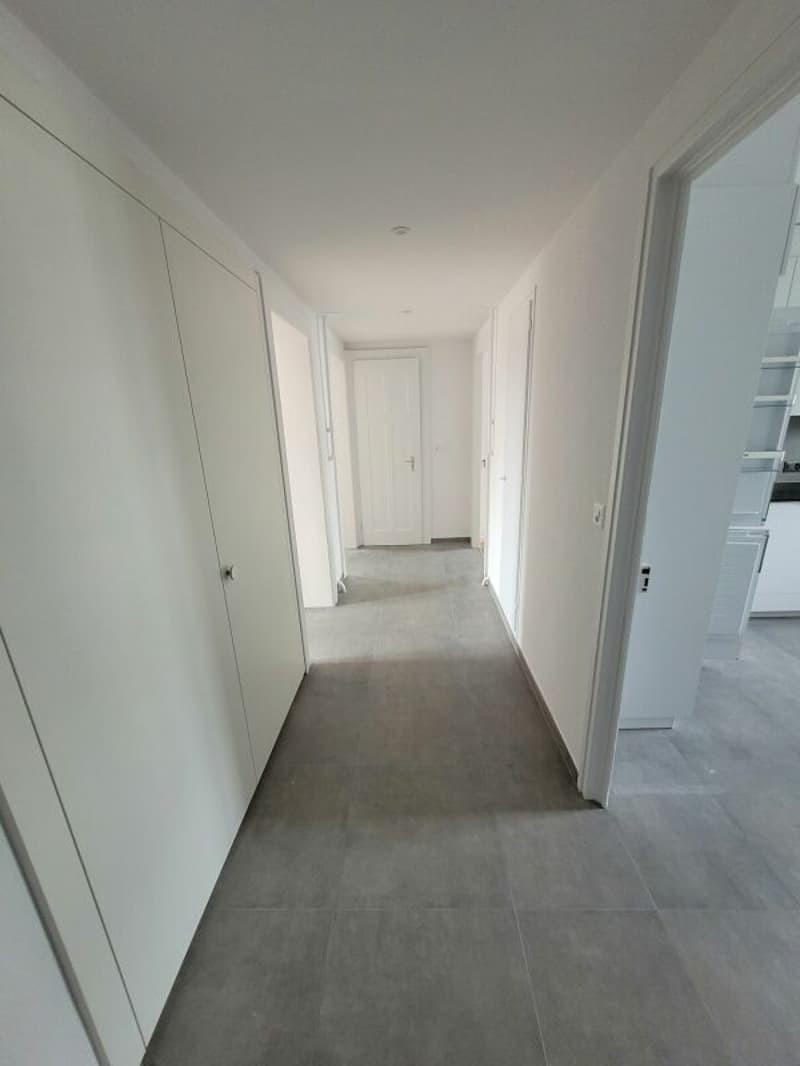 Appartement de 3 pièces entièrement rénové. (2)