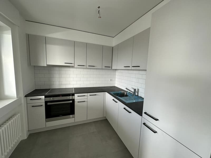 Bel appartement de 3.5 pièces entièrement rénové ! (1)