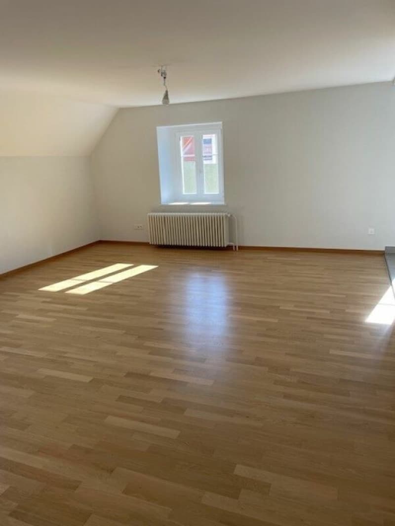 Joli appartement proche de toutes commodités (3)