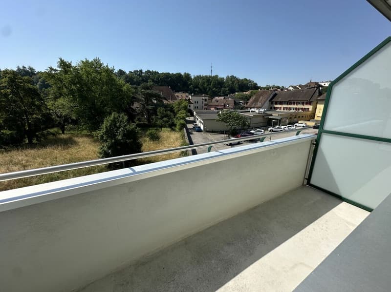 Très bel appartement de 2 pièces entièrement rénové ! (6)