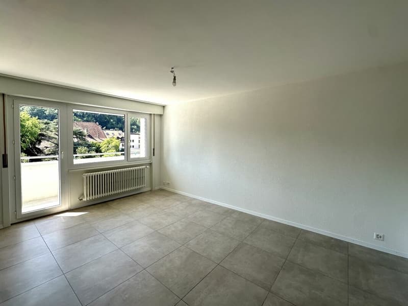 Très bel appartement de 2 pièces entièrement rénové ! (3)