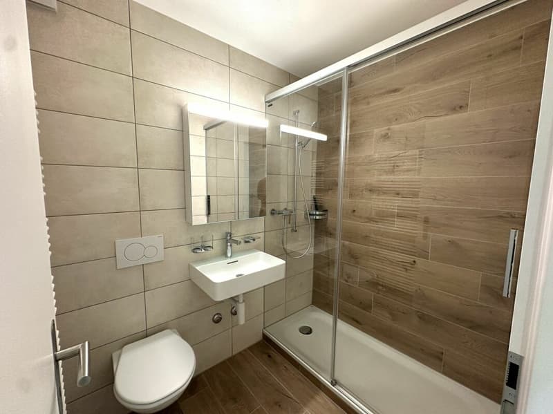 Très bel appartement de 2 pièces entièrement rénové ! (5)